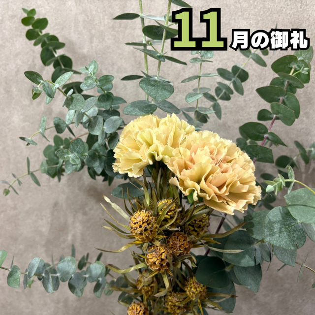 11月もありがとうございました😊